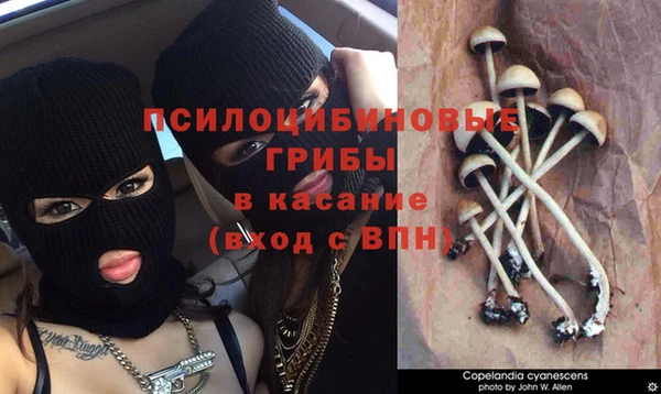 марихуана Новодвинск