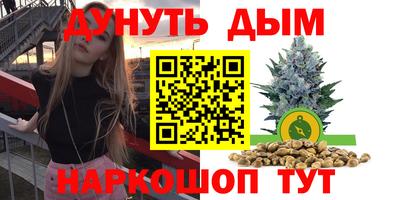 сатива Канаш