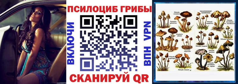 Псилоцибиновые грибы Psilocybe  Красноуфимск 