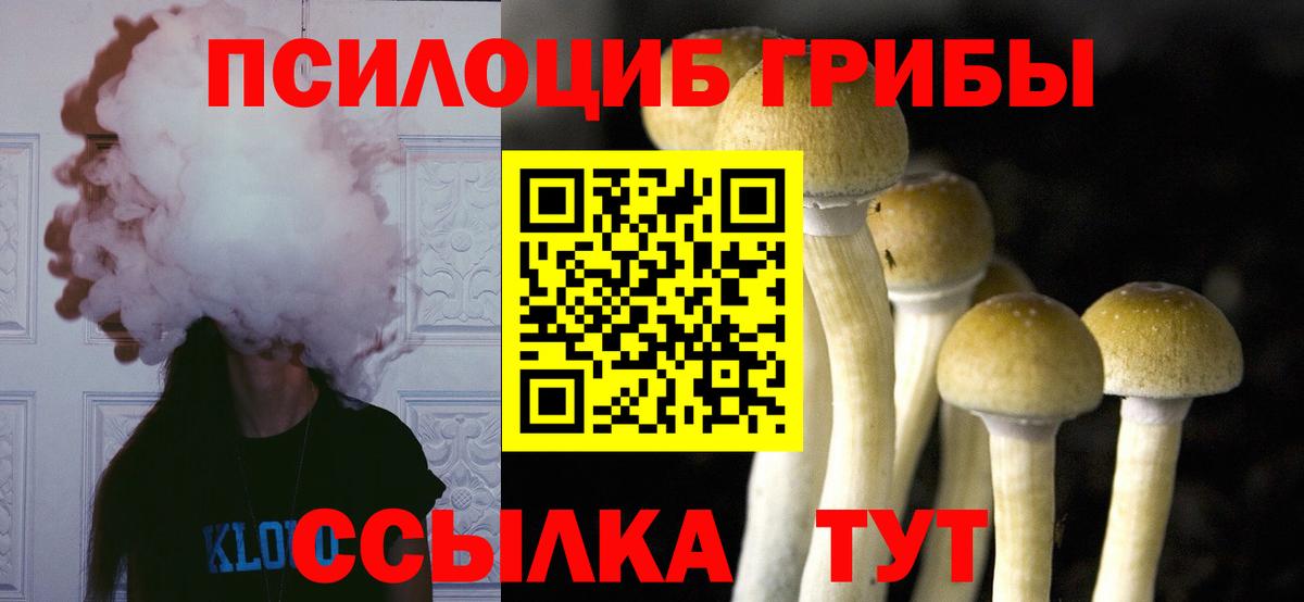 Красноуфимск  Псилоцибиновые грибы MAGIC MUSHROOMS  Вход с VPN 